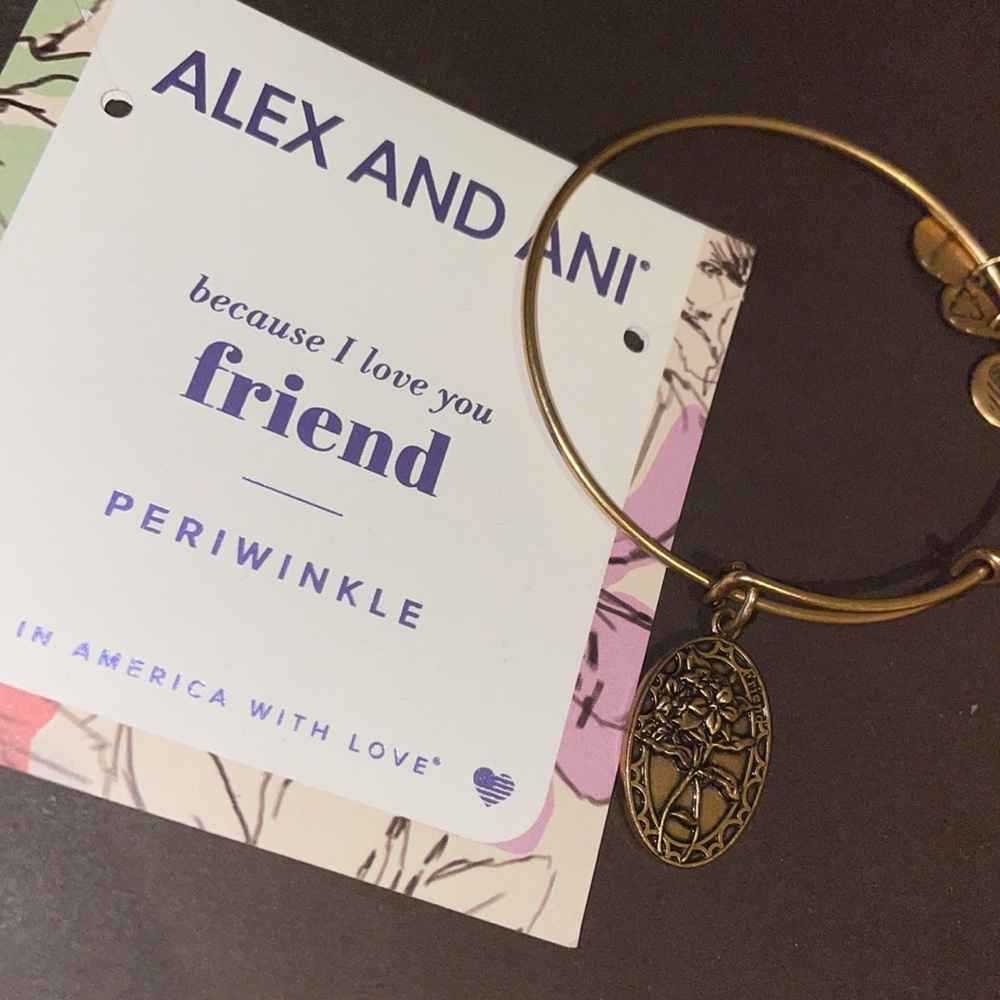 Alex and Ani bracelet